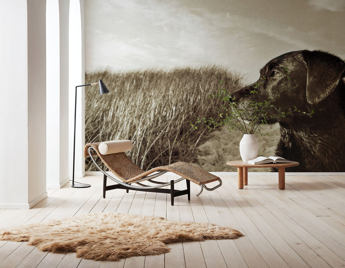 At the Labrador Beach Mural Wallpaper - room preview 02
