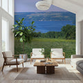 Vineyard Lakeside Serenity Mural Wallpaper - room preview 02