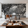 Timeless Oak Alley Mural Wallpaper - room preview 02