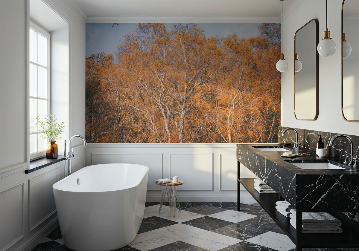 Amber Birch Woods Mural Wallpaper - room preview 02