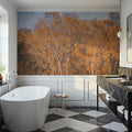 Amber Birch Woods Mural Wallpaper - room preview 02