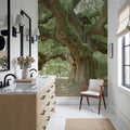 Angel Oak Tree Mural Wallpaper - room preview 02