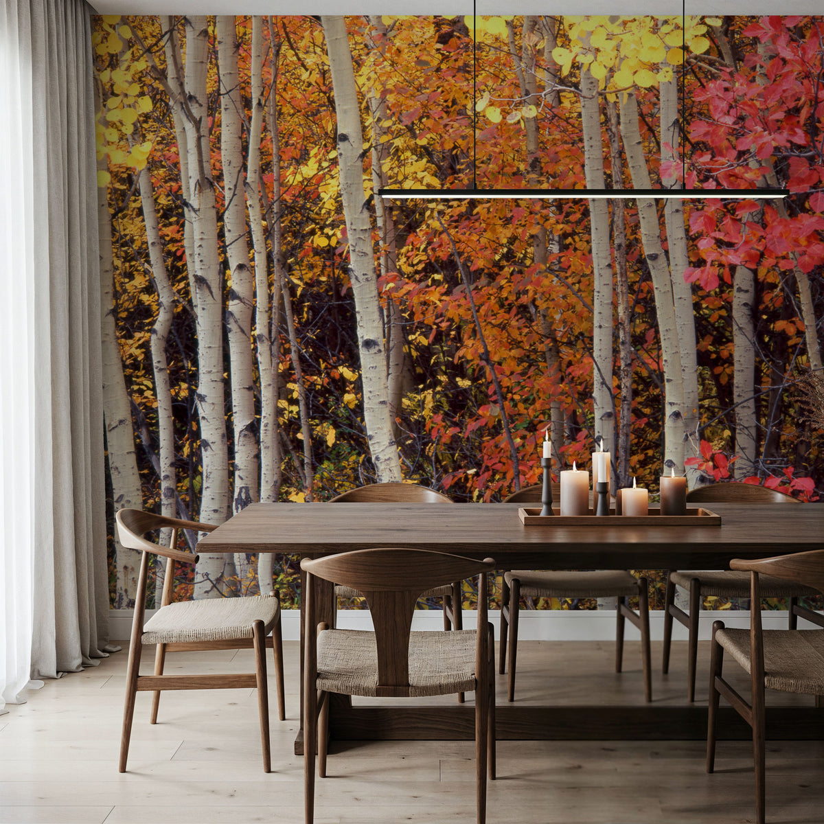 Autumn Aspen Grove Mural Wallpaper - room preview 02