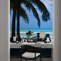 Palm Panorama II Mural Wallpaper - room preview 02