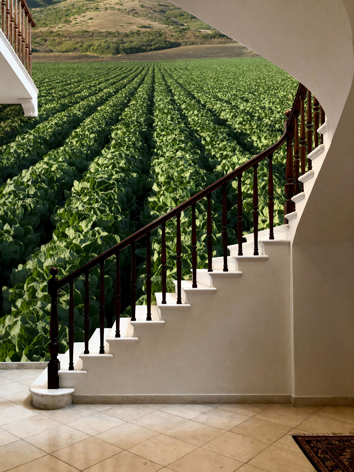 Harvest Rows Mural Wallpaper - room preview 02
