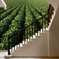 Harvest Rows Mural Wallpaper - room preview 02
