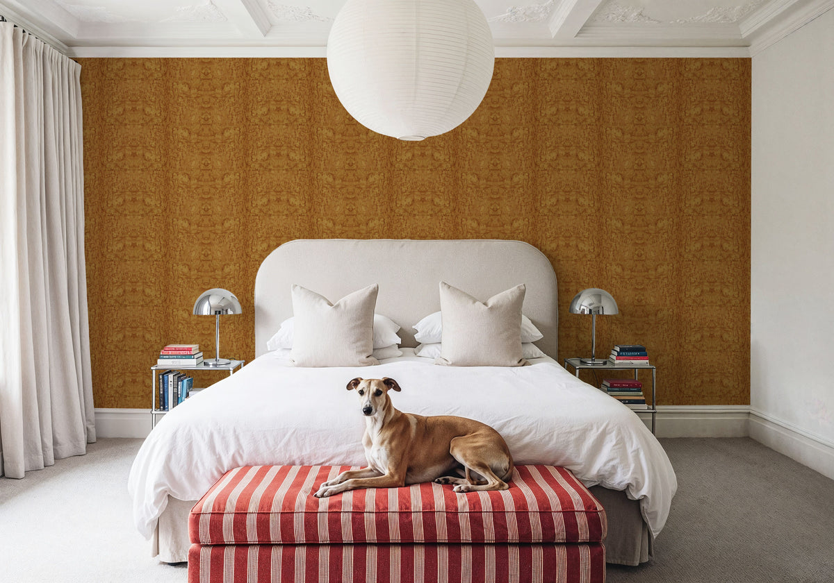 Burl Wood, Sun Mural Wallpaper - room preview 02