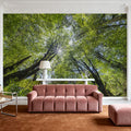 Unsuikyo Treetops Mural Wallpaper - room preview 02