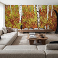 Autumn Birch Haven Mural Wallpaper - room preview 02