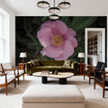 Wild Rose VII Mural Wallpaper - room preview 02