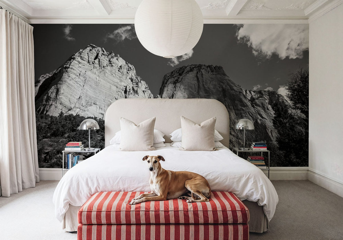Kolob Canyons Black & White Mural Wallpaper - room preview 02