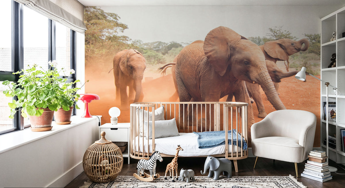 Elephant Race Mural Wallpaper - room preview 02