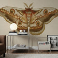 Spooky Halloween Moth II Mural Wallpaper - room preview 02