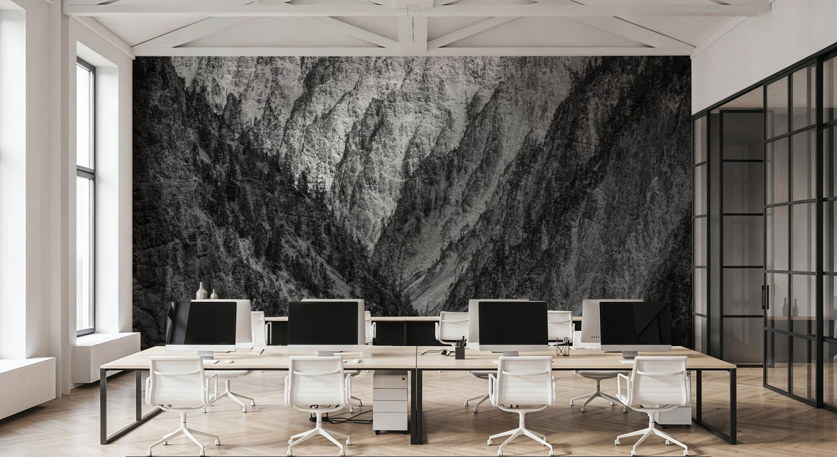 Yellowstone Summers BW Mural Wallpaper - room preview 02