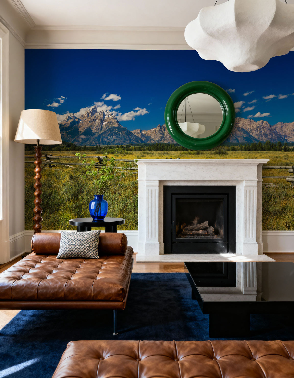 Grand Teton Range Field Mural Wallpaper - room preview 02