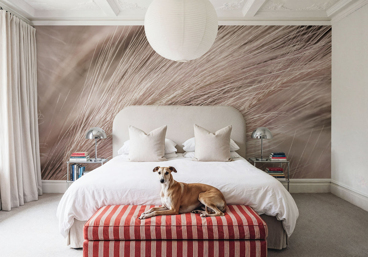 Foxtail Barley III Mural Wallpaper - room preview 02