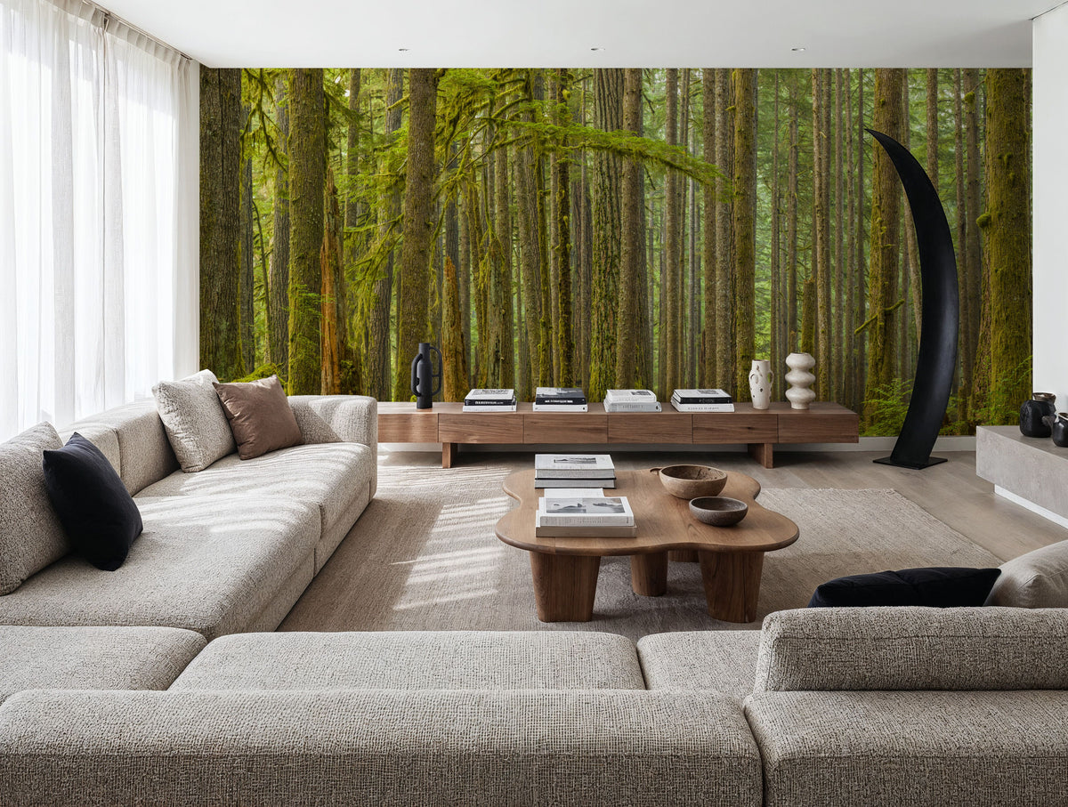 Ancient Trees Mural Wallpaper - room preview 02
