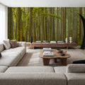 Ancient Trees Mural Wallpaper - room preview 02