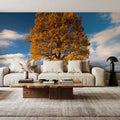 Last Tree Standing Mural Wallpaper - room preview 02