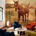 Sunset Companions Mural Wallpaper - room preview 02