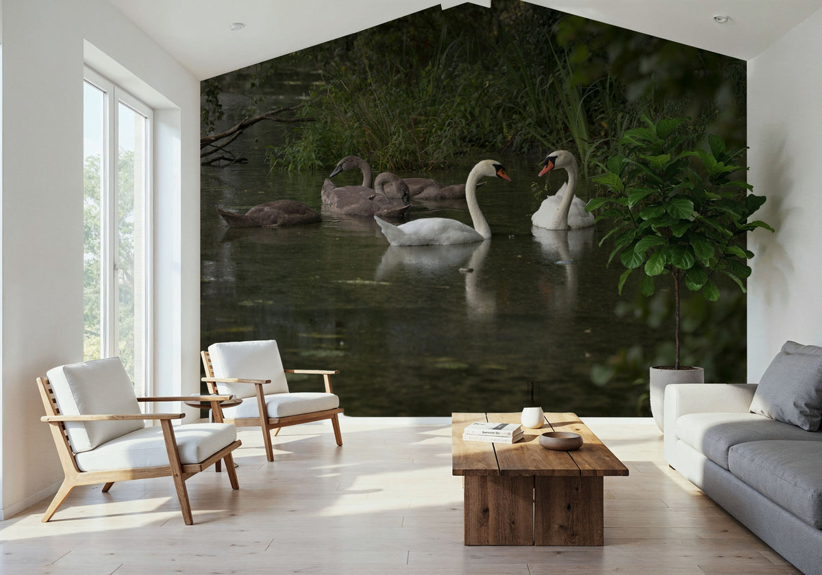 Swans Family Mural Wallpaper - room preview 02