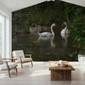 Swans Family Mural Wallpaper - room preview 02