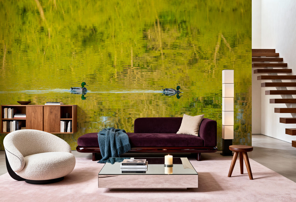 Pair of Ducks Mural Wallpaper - room preview 02