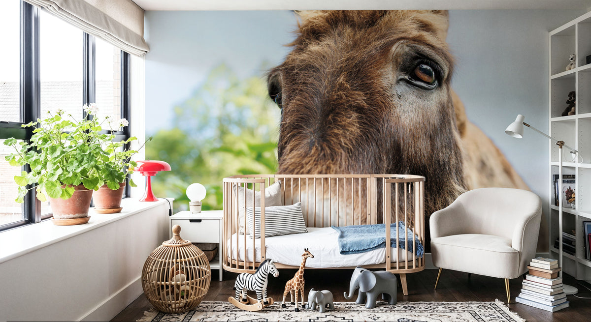 Donkey Pasture Mural Wallpaper - room preview 02
