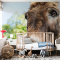 Donkey Pasture Mural Wallpaper - room preview 02
