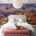 Grand Canyon National Park Yavapai Point Mural Wallpaper - room preview 02