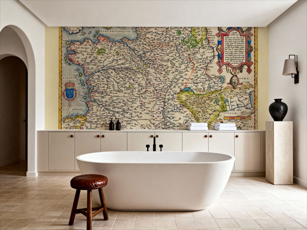 Old Map of France, 1570 Mural Wallpaper - room preview 02