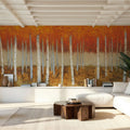 Autumn Birches Mural Wallpaper - room preview 02