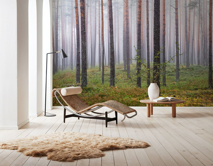 Forest Wallpaper Mural – Woodland Wall Mural – Hide and Seek Forest