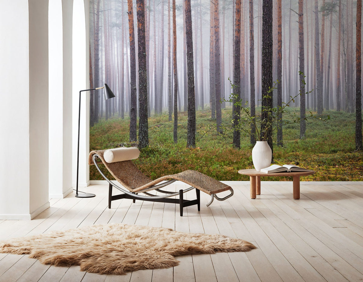 Hide and Seek Forest Mural Wallpaper - room preview 02