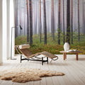 Hide and Seek Forest Mural Wallpaper - room preview 02