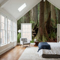 Ancient Forest Path Mural Wallpaper - room preview 02
