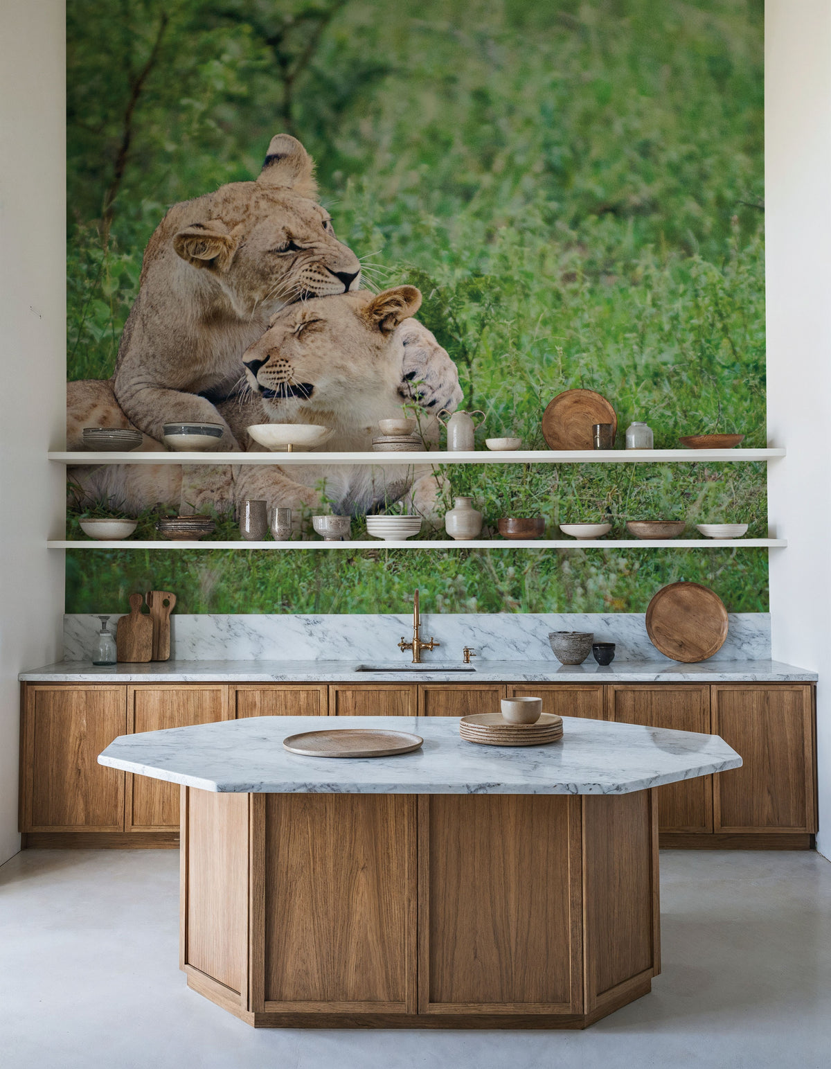 Playful Lions Mural Wallpaper - room preview 02