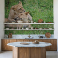 Playful Lions Mural Wallpaper - room preview 02