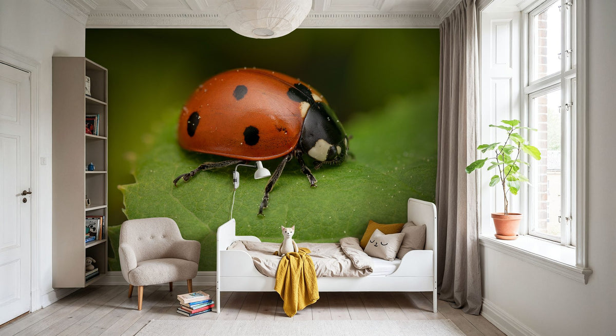 Ladybug on Leaf Mural Wallpaper - room preview 02