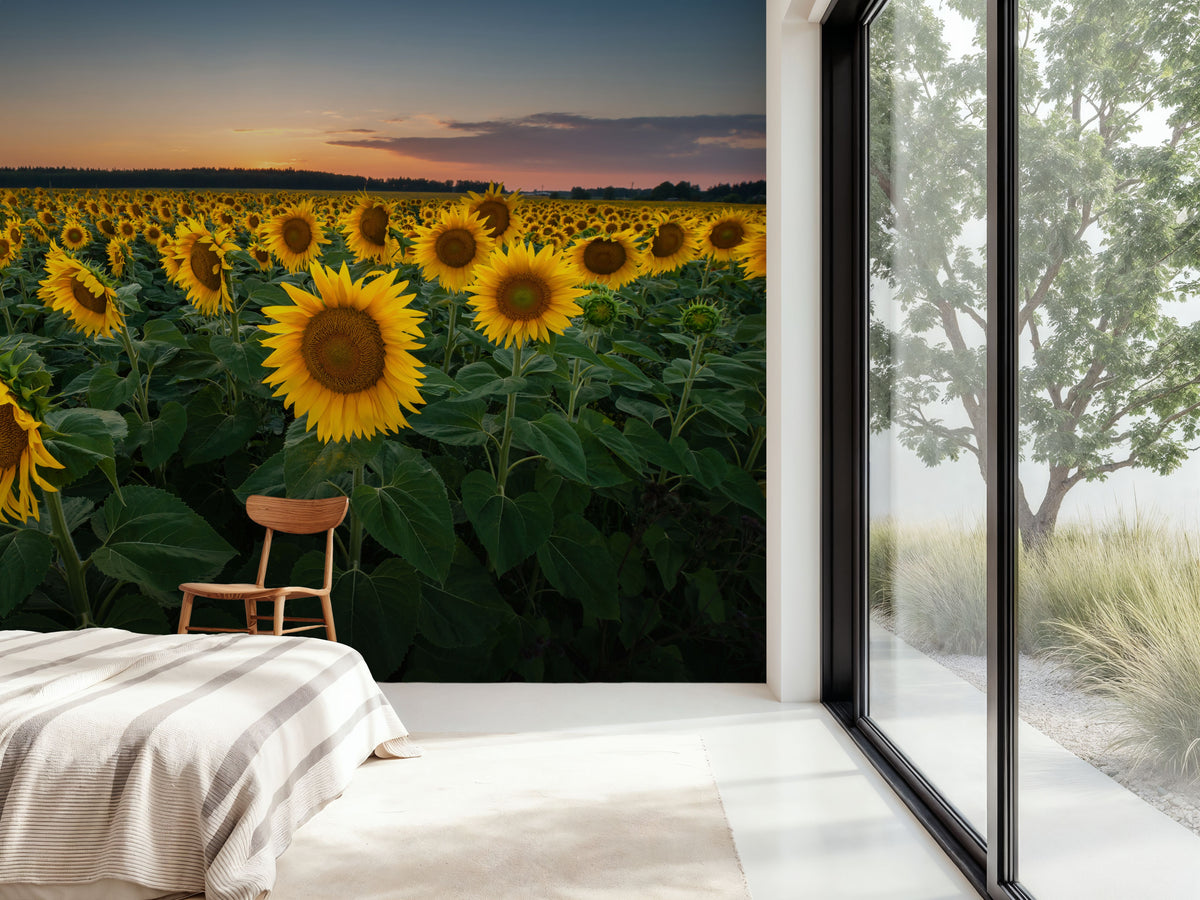 Proud Sunflower Field Mural Wallpaper - room preview 02