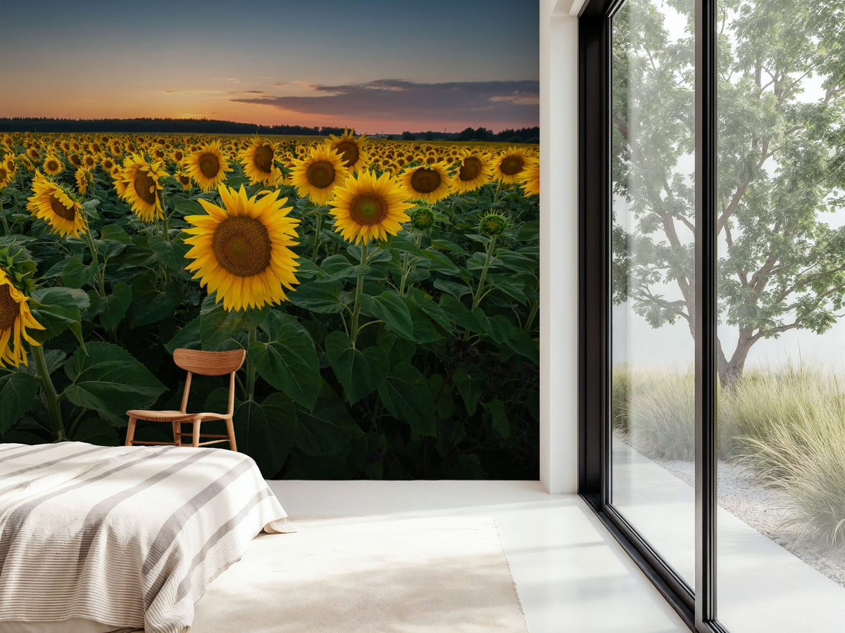 Proud Sunflower Field Mural Wallpaper - room preview 02