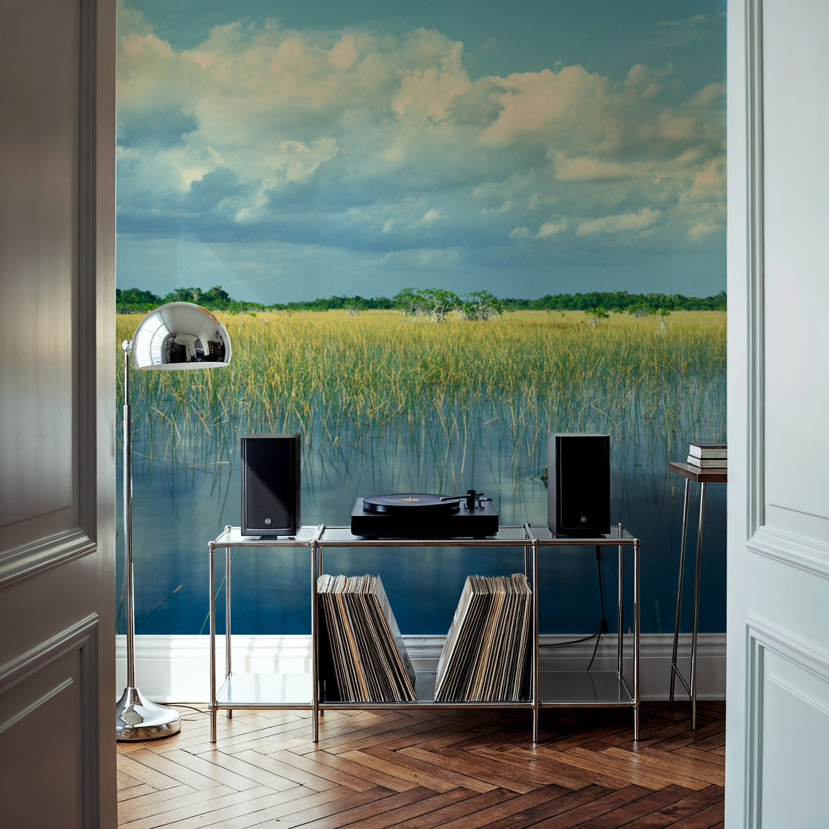 Everglades Mangrove Mural Wallpaper - room preview 02