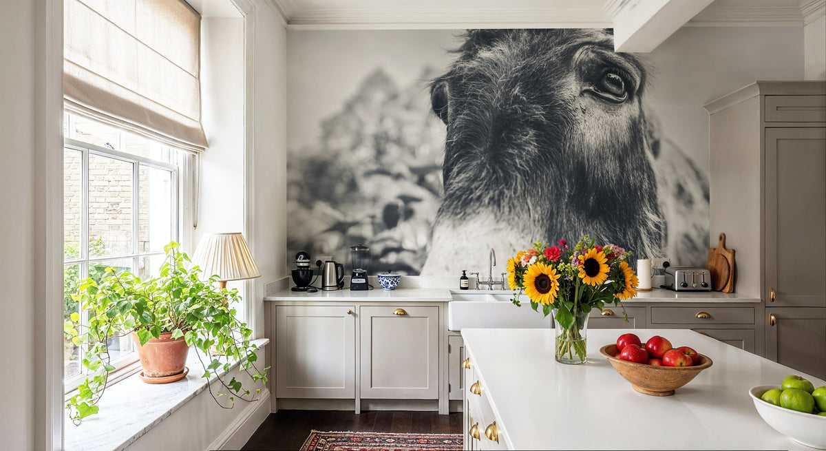 Donkey Pasture BW Mural Wallpaper - room preview 02