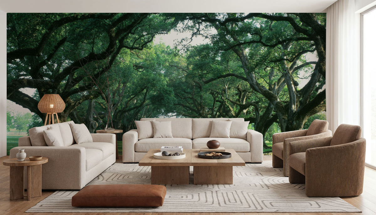 Ancient Oak Avenue Mural Wallpaper - room preview 02