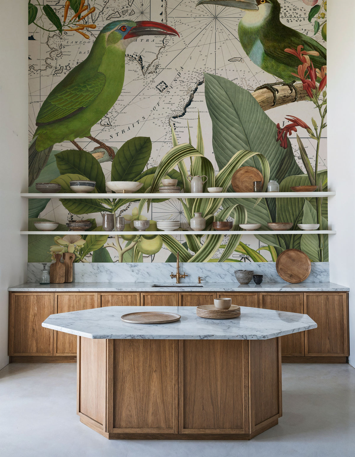 Parrots Nostalgic Journey III Mural Wallpaper - room preview 02