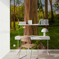 Rainbow Eucalyptus Mural Wallpaper - room preview 02
