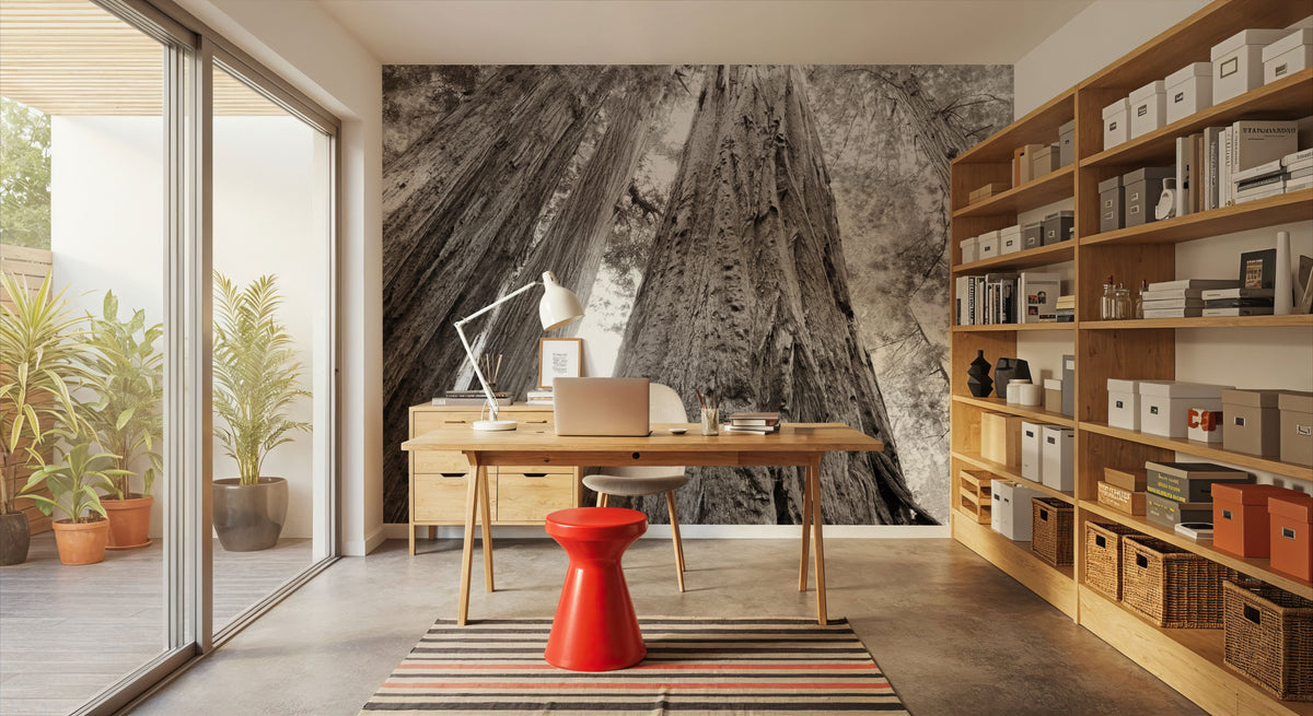 Ancient Redwood Forest Mural Wallpaper - room preview 02