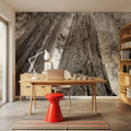 Ancient Redwood Forest Mural Wallpaper - room preview 02