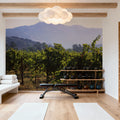Napa Grape Vines Mural Wallpaper - room preview 02