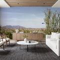 Desert Ocotillo Mural Wallpaper - room preview 02